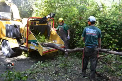 tree services El Cerrito